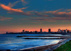 uiamainternacional mardelplata umk artesmarciales uiama GIF