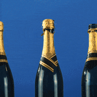 Popping Champagne Gifs Get The Best Gif On Giphy