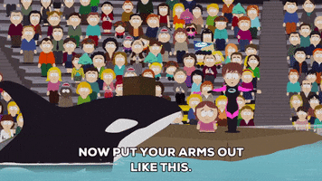 sea world show GIF by South Park 