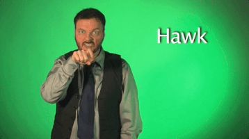 sign language hawk GIF by Sign with Robert