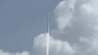200w.gif