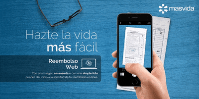 oslo twitter masvida reembolso web GIF