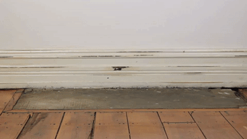 wedlock leather shoes GIF