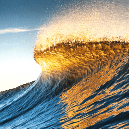 surfing sunrise GIF by Evan Hilton