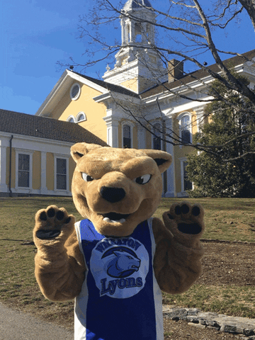 mascot dancing GIF by Wheaton College (MA)