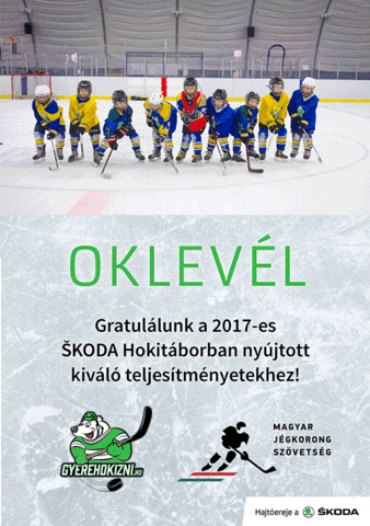 gyerehokizni hockey skoda hoki gyerehokizni GIF