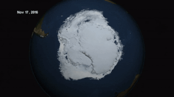 irenechernuha  GIF