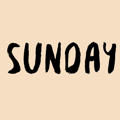 fun weekend typography sunday funday GIF