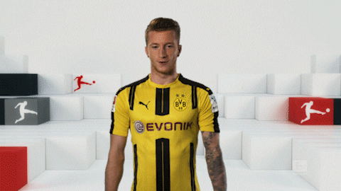 Borussia Dortmund Waiting GIF by Bundesliga - Find & Share on GIPHY