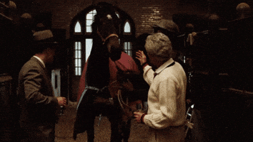 movie horse the godfather francis ford coppola gangster movie GIF