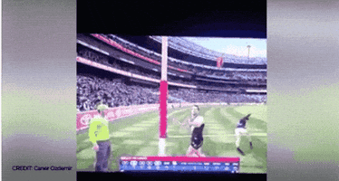 shannongrixti afl evolution GIF