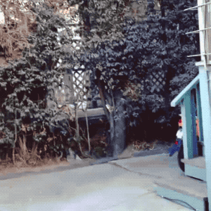 hoahoahoa  GIF