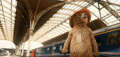 confused london GIF by Paddington Bear