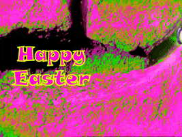 easter bunny GIF by MFD