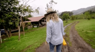 viceland GIF by JUNGLETOWN