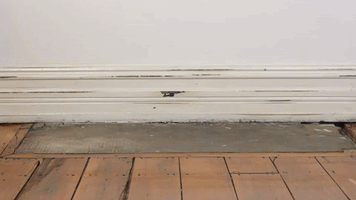 wedlock leather shoes GIF