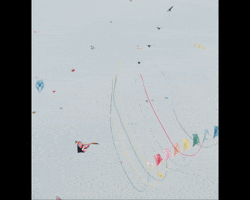 Flying High Summer GIF by Beeld en Geluid