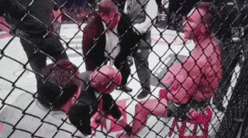 mrdaba  GIF