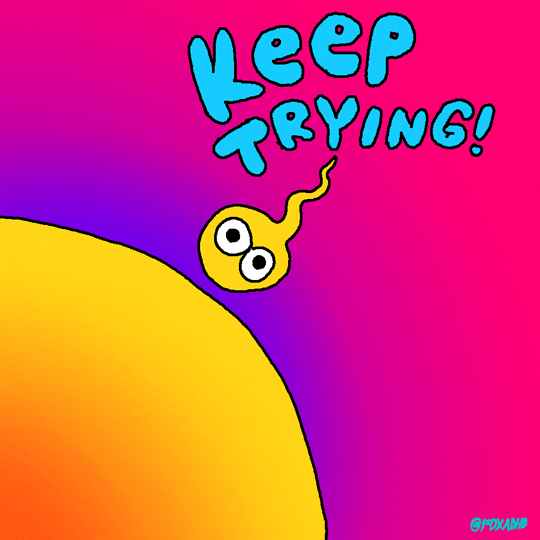 keep trying GIF by Parker Jackson