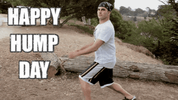 Video gif. Man stands in a lunging position and thrusts his hips back and forth to pretend he’s humping the air. He looks at us with a fairly blank face as he does this. Text, “Happy hump day.”