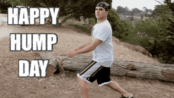 Humping GIFs - Find &amp; Share on GIPHY