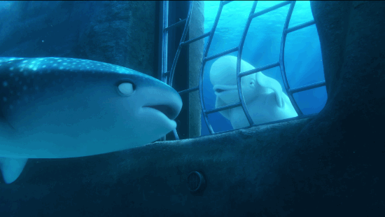 Finding Dory Gif By Disney Pixar S Finding Dory Find Share On Giphy