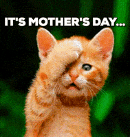 Mothers Day Cat GIF by Product Hunt