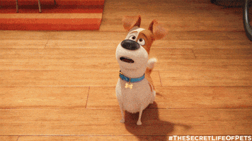GIF by The Secret Life Of Pets