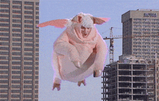 Kids In The Hall Pig GIF by CBC