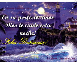 yakig linda noche GIF