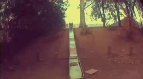 Haley Reed GIFs - Get the best GIF on GIPHY