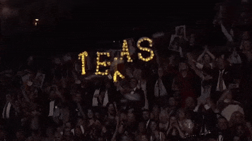 Texas GIF by Miss America