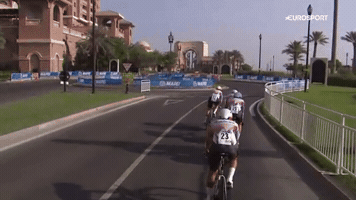 georgescott-e79c  GIF
