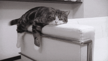 coffeehouse  GIF