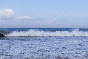 dnunis  GIF