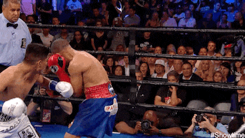 the return punch GIF by SHOWTIME Sports