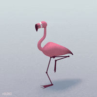 GIF by DLGNCE