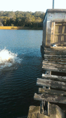 milton  GIF