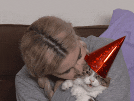 Cat Celebration GIF by HelloGiggles