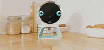 Pillo health robot GIF by Product Hunt
