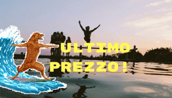 silviabonasegalecamnasio  GIF