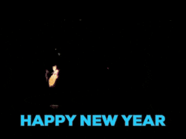 New Year Fireworks GIF by Beeld en Geluid