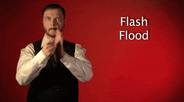 sign language flash flood GIF by Sign with Robert