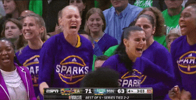 Game 5 Yes GIF by WNBA