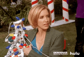 desperate housewives christmas lights GIF by HULU