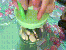 henrytan-6228 food tefal iblogmyway GIF