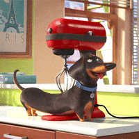 Massage Baking GIF by The Secret Life Of Pets