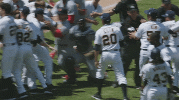baseball fight GIF by Pitch on FOX
