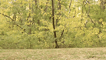 Feeling Free So Excited GIF by Originals