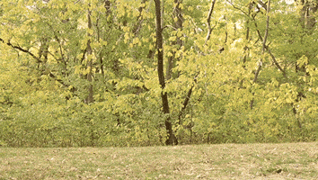 So Excited Reaction GIF by Originals